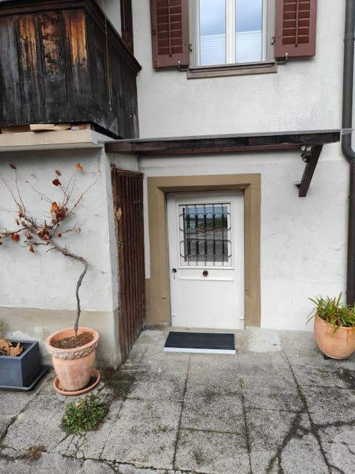 Studio Am Vierwaldstaettersee Horw Exterior foto